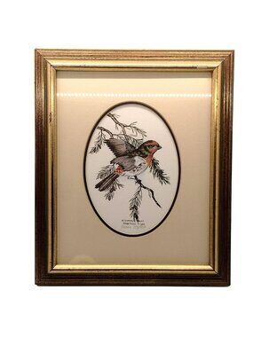 Nancy J. Shumaker Pallan Framed Bird Art Print House Finch 1982 Numbered 137/950